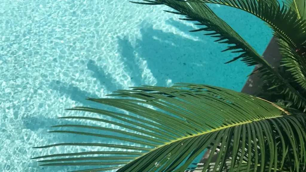 "Guide pratique pour créateurs du Burkina: comment identifier, contacter et convaincre des marques d'Oman sur Etsy pour des partenariats avec éditeurs de jeux."