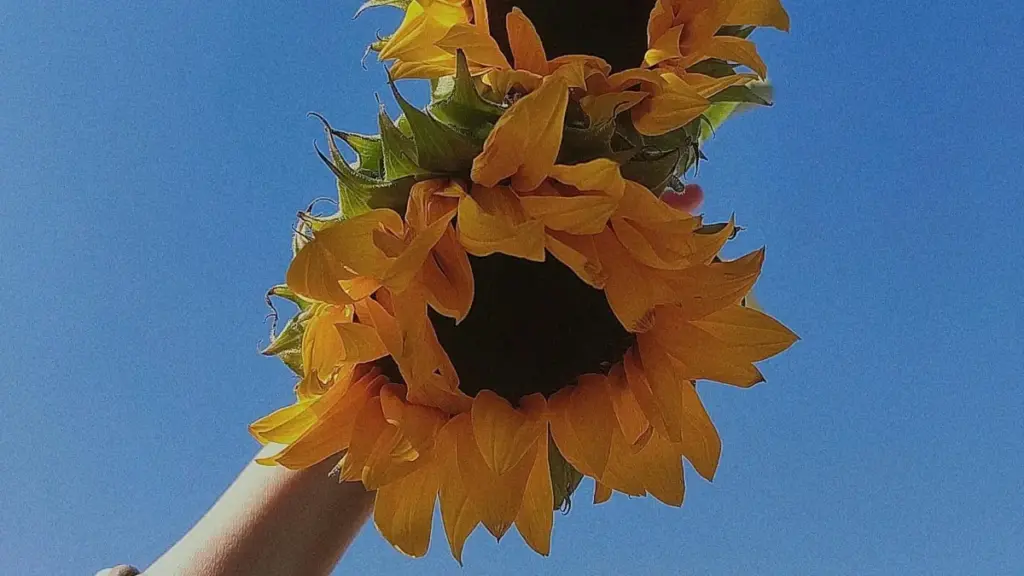 Conseils pratiques pour créateurs du Burkina Faso qui veulent attirer les marques du Qatar sur TikTok et gagner des partenariats solides.