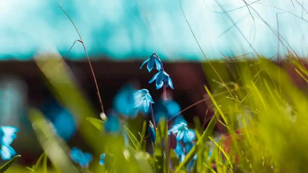 "Tɛmbɛl nɛɛ: sougri ka fo Zalo bɛ Thailand brands fɔ la, ka yan sponsor-tag la. Wɛrɛ yamb nɛ, ya fay-la ka sɔrga."