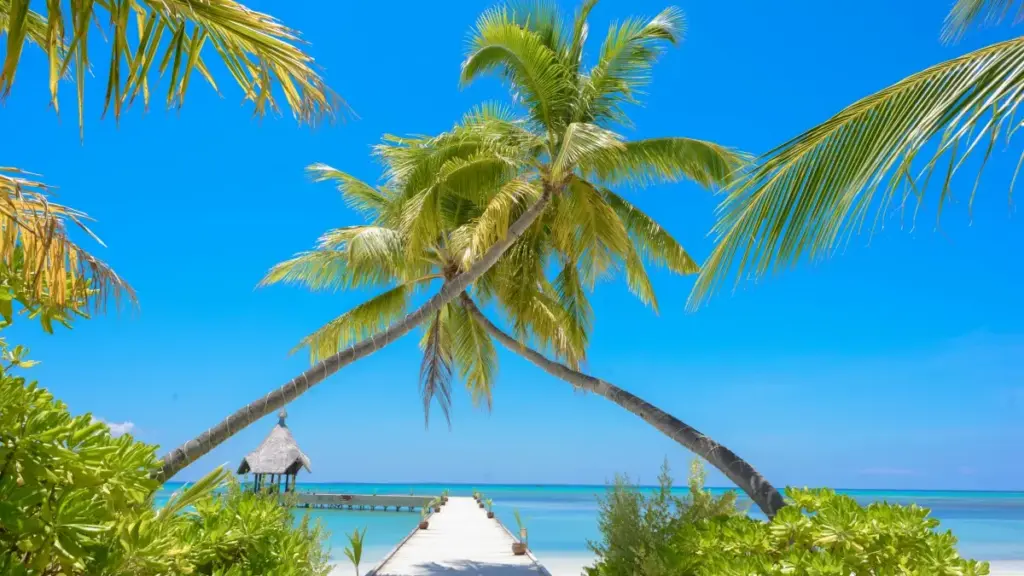 "Gɔsɛna ka laafe: n yamb yelga ka foogo USA né Shopee, wan na zaaba fo long-form product reviews. Togo yelga, taktika, ni maŋ-sɔgri."