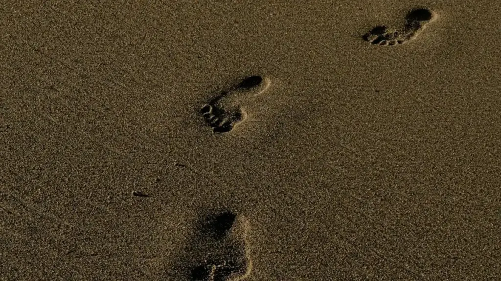 Fɔɔrɔ ka yira Lebanon QQ créateurs la, bɛɛ fitnes apps sigi traffik ka yé ta ni Burkina Faso.