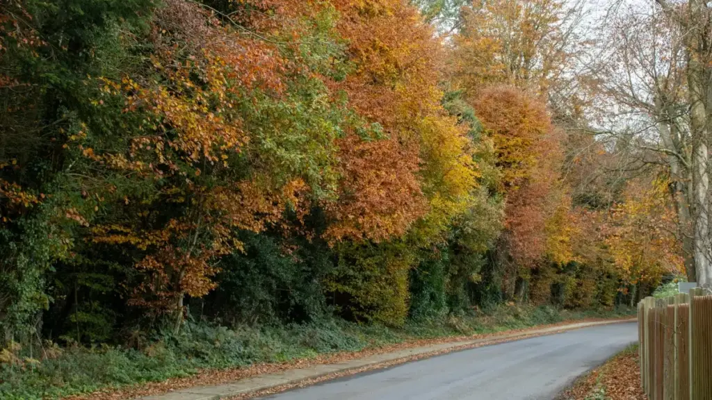 Sɔrɔw ka fɔ Amazon créateurs UK la ni bɛɛ yé ka fɔlɛ nyogon fɛ, ka fɔlɛ la tond ye.