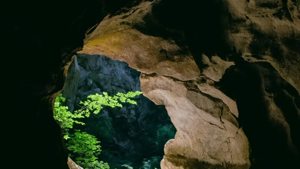 Fɔ yelen Dane Bilibili creators ka yera live stream fɔ brand fo, ka sigi fɔ Burkina Faso.