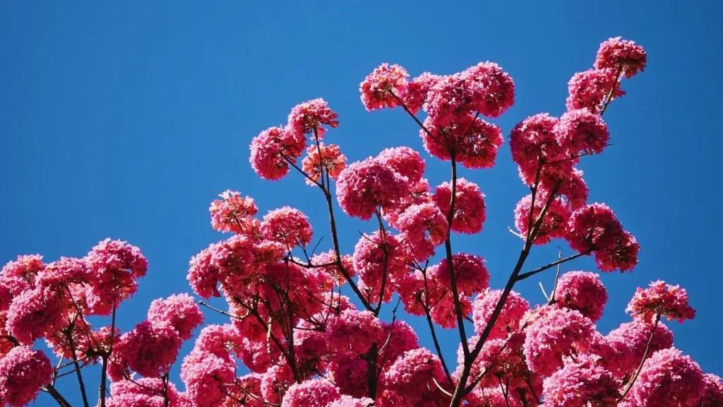 Je suis désolé — mi n saŋ yé oore ma y neere: n ka fɔr feere zɔŋ n yaa "mos-BF" la. A yila wa? Ñɛma n tɛ bɛɛ fo n fɔ ka a fɔ n fayida. Pouvez-vous ...