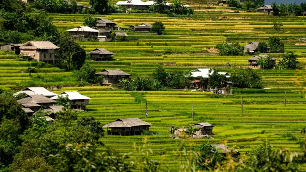 Guide pratique pour créateurs au Burkina Faso: comment trouver, approcher et co-créer bundles exclusifs avec marques vietnamiennes via WhatsApp, avec tactiques locales et exemples réels.