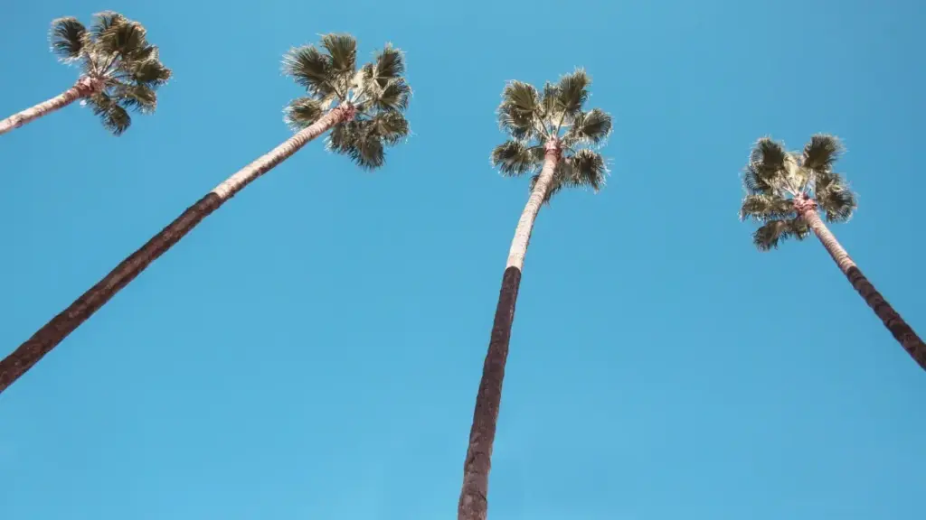 K clas yãa fo wa: ka sigri Luxembourg Amazon créateurs zaaf yelga ka fo nɛende health supplement. Taaba, taktika, platforms ni MaTitie tips.