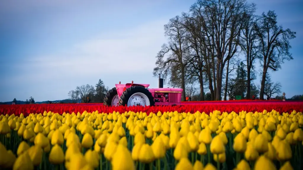 "Guid nɛɛ yelga: ka faalè Roposo créateurs Bosnia yaa, ka sogo laafi kampagn responsable, ma yelm."
