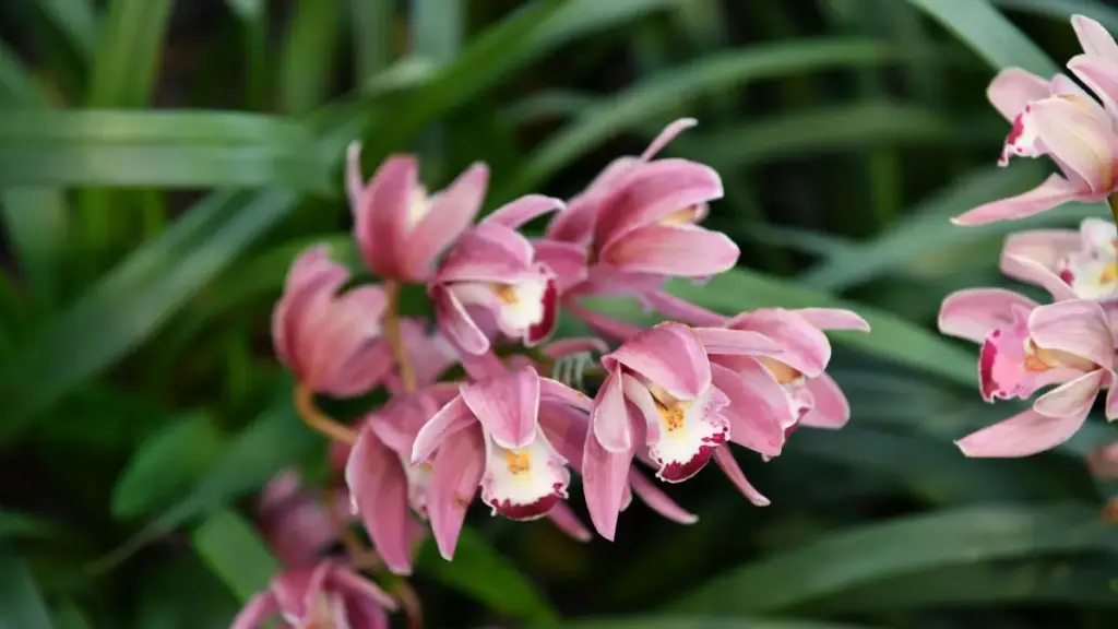 Saa taamba: nimdeer wa yelga Bilibili la Estonie brands, kaa soaba conversions yeega, CTA fooreɛ kɛ. Barka sigri, tactics, ni MaTitie VPN fɔ.