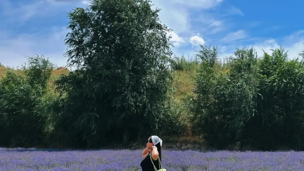 N yelga yele: ni ka barka WhatsApp la Indonezia brands ka sɔnga follow-up content fo fans. Forme praktikal, taktiks, na exempel Joyday la kampɛgnɛ.