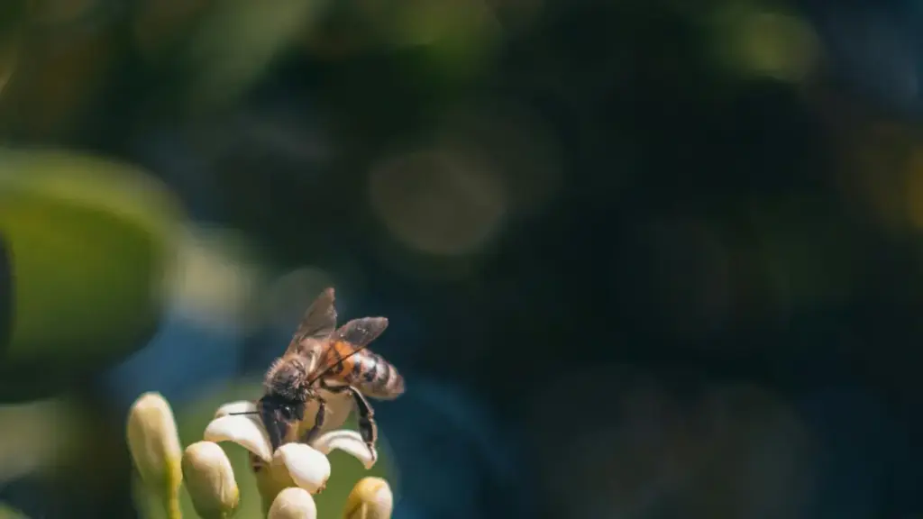 Guid for créateurs au Burkina: comment contacter marques Croates sur WeChat, négocier tournage BTS, et éviter pièges pratiques — astuces terrain et outils à jour (29‑09‑2025).