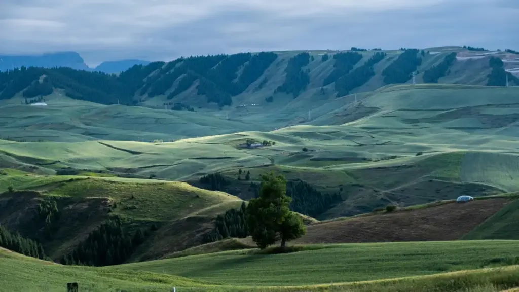 Guide pratique pour annonceurs au Burkina Faso qui veulent joindre créateurs Lebanon Josh et négocier offres à tarif fixe — méthodes, pièges, et checklist locale.