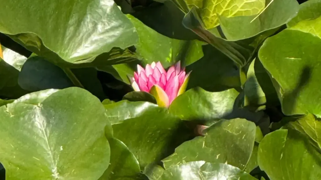 Guid praktikal pou bann annonceurs Faso pou trouv tjak Takatak Saudi, lananch micro-influencer trials, strateji, etapes, ek aksyon rapid.