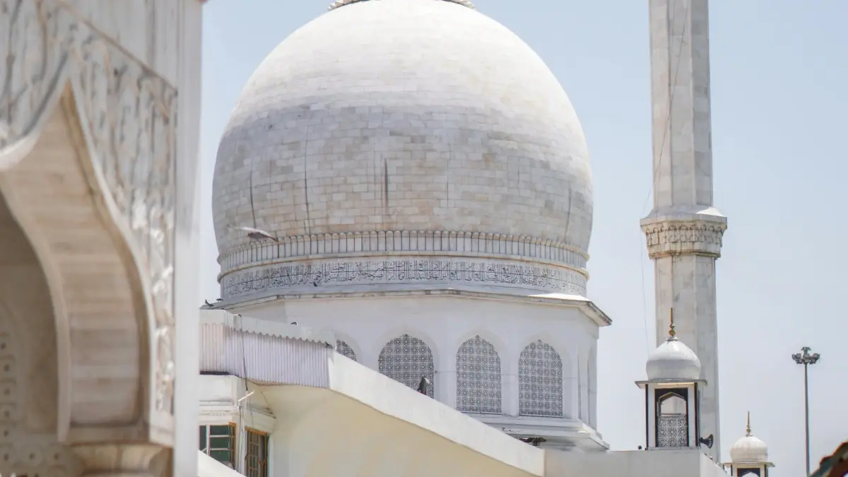 Bɩlaabɩ Zalo Uzbekistan fo yelga laafi online