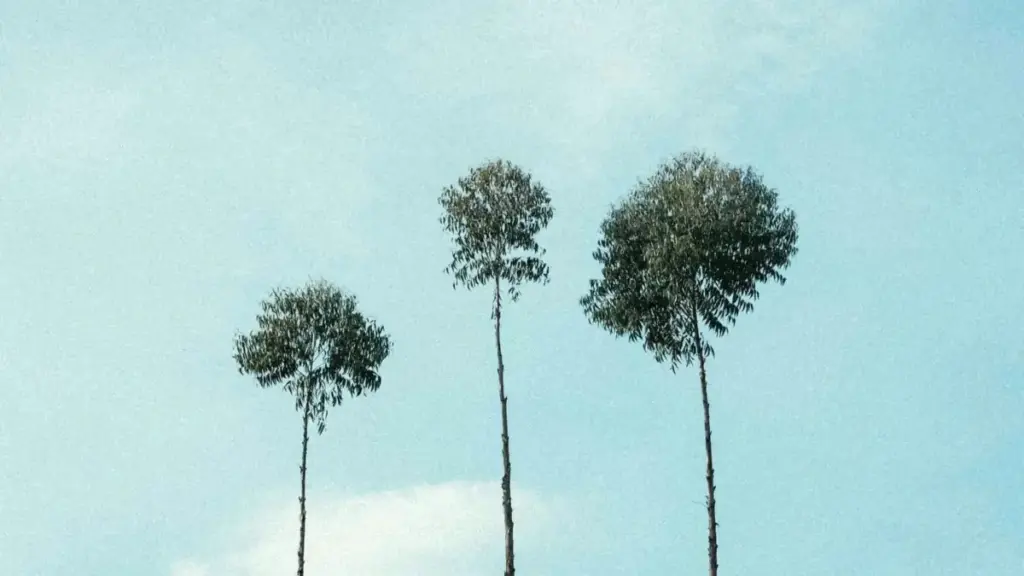 Guide pratique pou yiga créateurs u Burkina: comment contacter marques françaises su Kuaishou pour vlogs voyage sponsorisés, tactiques réelles, risques éthiques, et modèles de pitch.