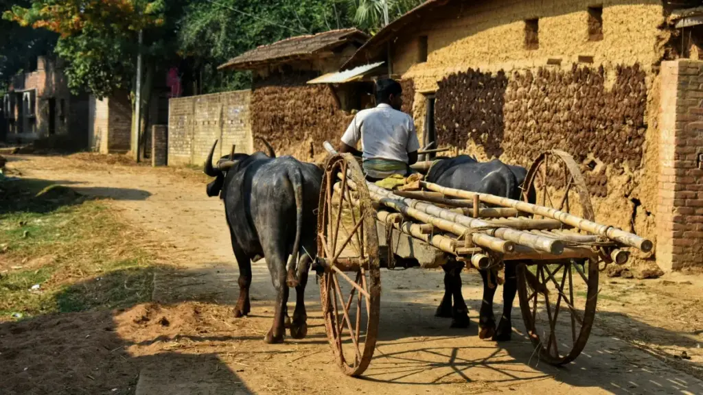 Guid yaa zanga: yinga ka Douyin be yamb la pore Pologne, ni waa monétiser canaux contenu. Conseil pratique, étapes et tools.