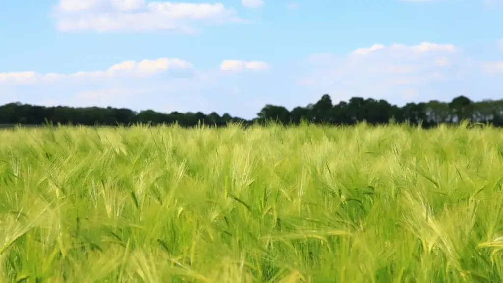 Guide pratique pour annonceurs au Burkina Faso qui veulent recruter créateurs Twitter au Luxembourg