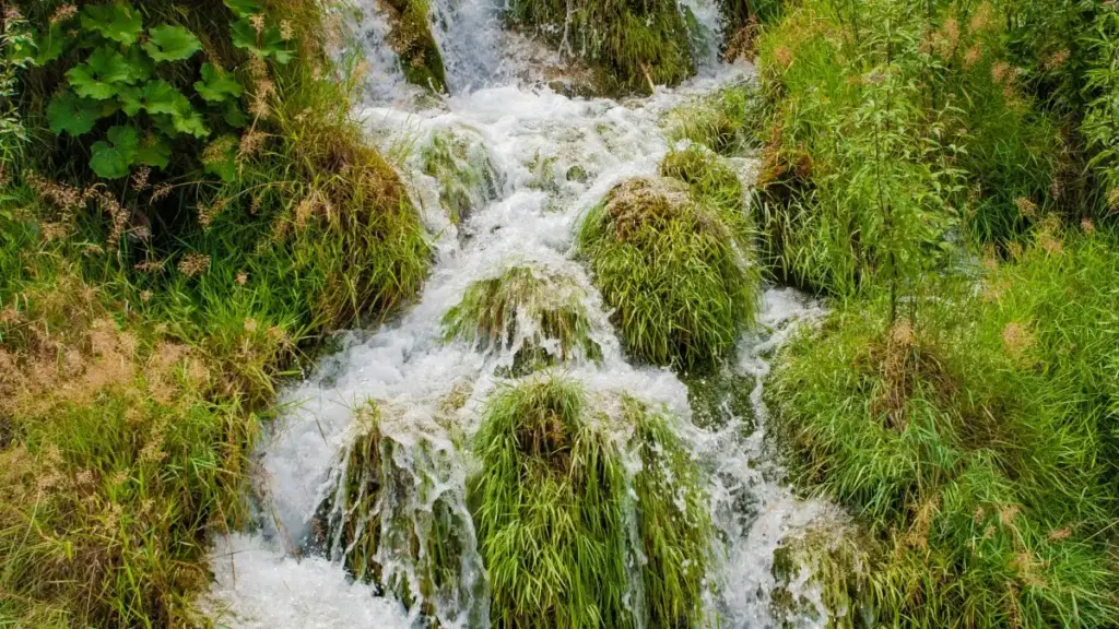 Guid zara ka fo : comment trouver créateurs vkontakte en Tanzanie pour toucher niches spécifiques, stratégies pratiques, risques et outils (octobre 2025).