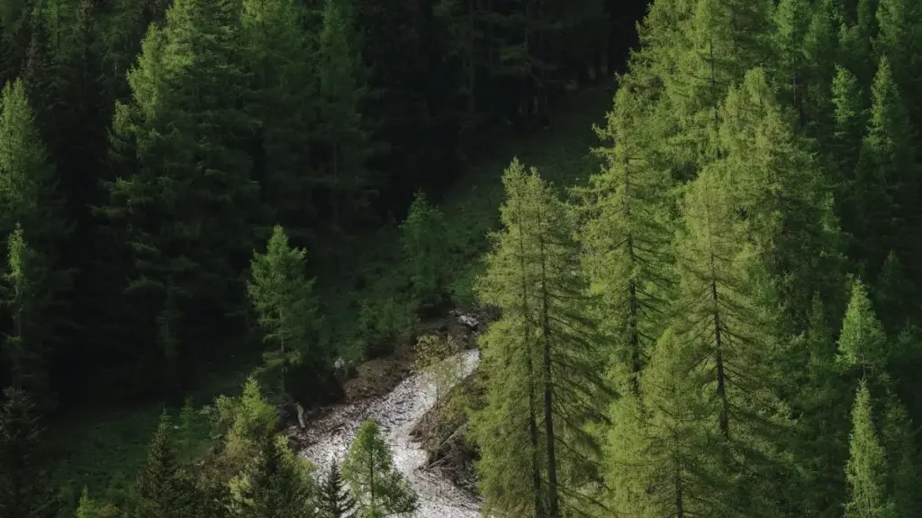 Mi yinga laafi — mi n yelga ka fo: mi zanga yaafi ti lafi bon. Ka mi wa laafi n yin yi? Mi soaba ka toog-d yeena ya ka fo kab ka mi yamb lafi....