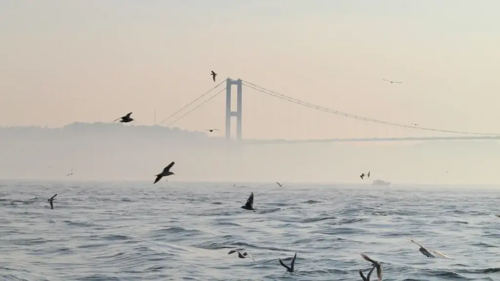 Kɔɔr-pulsɛn: Bɛ soma ne laabu yelga ku Kuwait Kuaishou créateurs ka zaama top créateurs ka produits. Hini zugu, kan kɔnd ya tendense, nɛɛnɛ ka maŋse wɛrɛ.