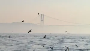 Kɔɔr-pulsɛn: Bɛ soma ne laabu yelga ku Kuwait Kuaishou créateurs ka zaama top créateurs ka produits. Hini zugu, kan kɔnd ya tendense, nɛɛnɛ ka maŋse wɛrɛ.