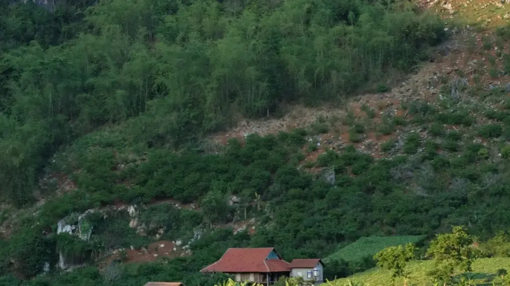 N yaa tond na kôré yâa : ka kônda Israel brand bi Apple Music la fo yamb yɔgbé behind-the-scenes video. Sɛbga fɔ, taktik, kontak kana.