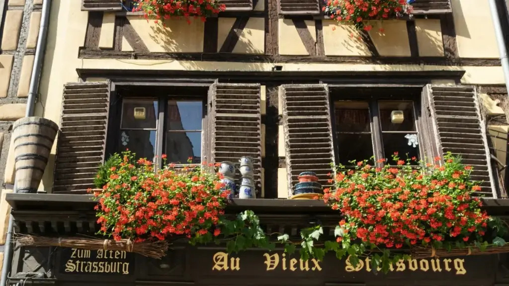 Fo n yeema: tilgre la Telegram Ecuador créateurs la yɔr nɛnde ka fɛr tutoria série ye. Saba kaa, n ye rɔrɔ wuli sigi.