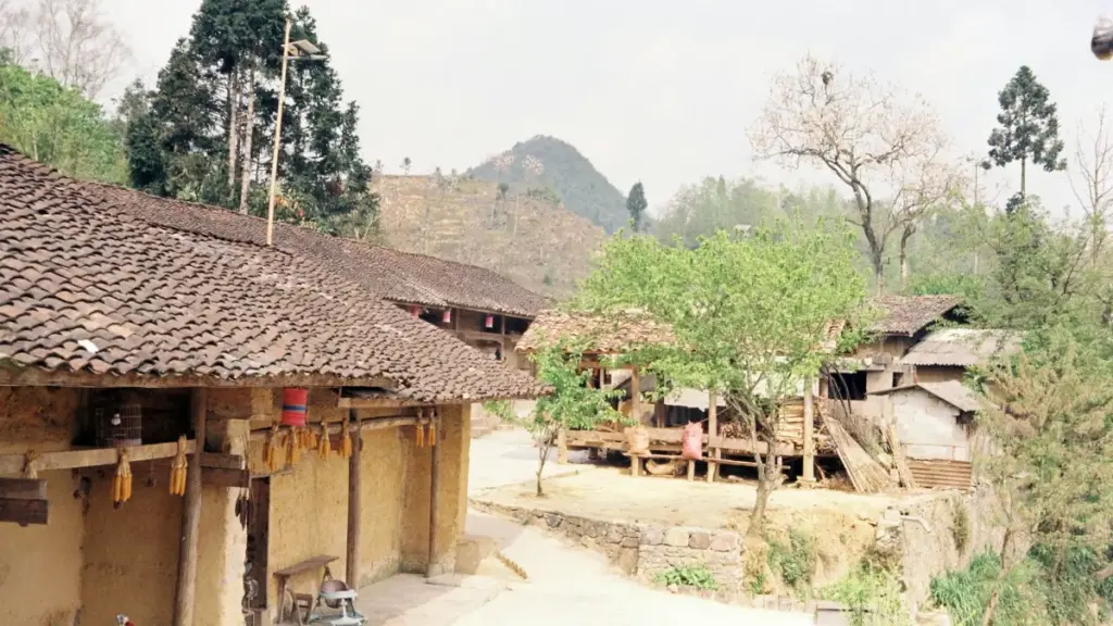 "Guide pratique pou yacne yécréateurs Apple Music en Belgique pou collaborer suɩ dance challenges, avec astuces locales, outils, et exemples (nov 2025)."