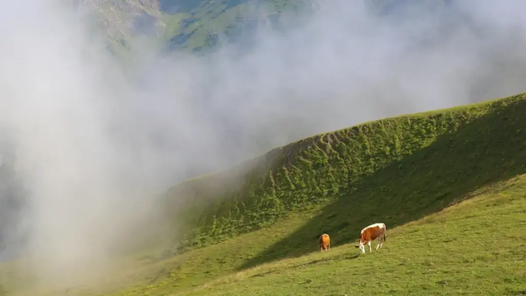 Guid n yɩrmé: ka yɔr Kuaishou créateurs yé Indonésie fo, bɛɛnda zaŋa, tongo ka fɔndo baalga.