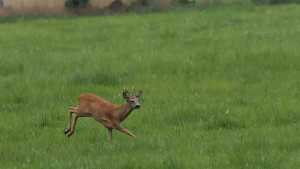 Si wan na ye — tâa̱ béogo ka yéléfo clubhouse, fo yidi zilga taamba: balga ka fo éthiopie marques, béogo ka séen gnyi. Tôgre, astuces pratiques, ka MaTitie VPN tip.