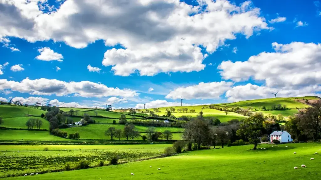 Guide pratique pour annonceurs au Burkina Faso: comment identifier, contacter et collaborer avec des créateurs Douyin au Paraguay pour un product seeding efficace.