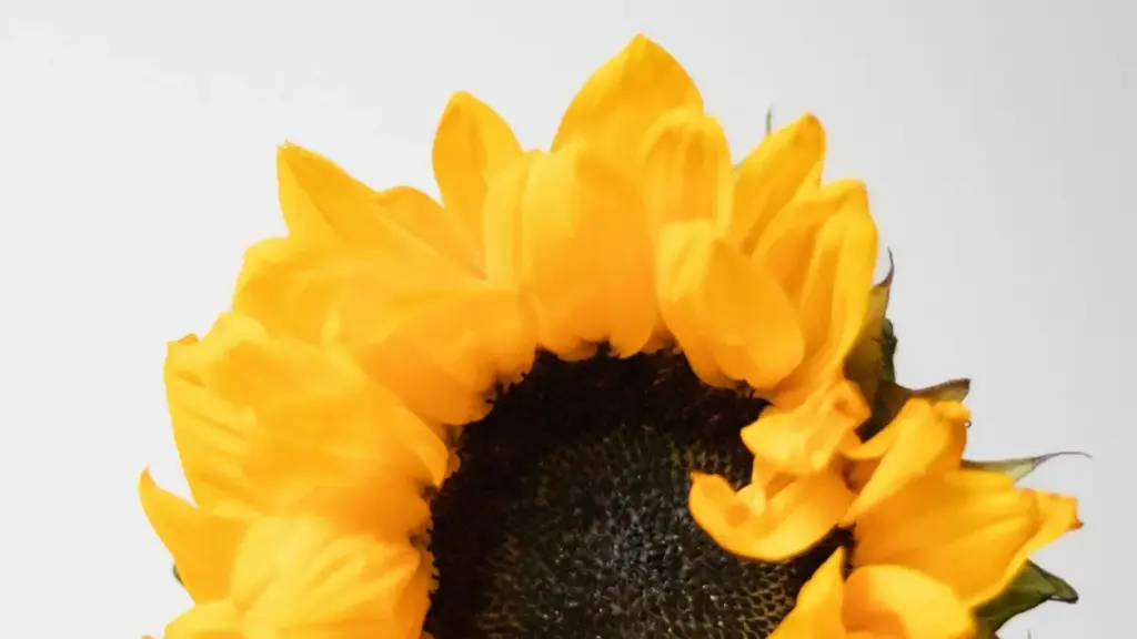 Guide pratique pour annonceurs au Burkina Faso — comment repérer et collaborer avec créateurs Takatak du Kazakhstan pour booster la visibilité dans communautés gaming.