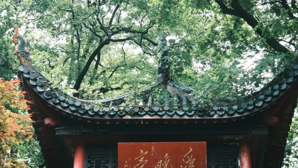 N yamb zaaba: kaŋ la Reddit-ba be yamb paalga Uzbekistan brands, songde yamb tilguu sponsored tools, niiga laafi. Tond zoaga ka boa taaba.