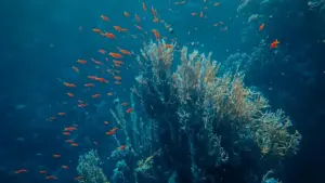 Tond yã be yɛlɛma: biiga-sooré ni takaa la SoundCloud creators be Saudi, ka fɔrga product-led growth. Guidɛ praktikal, cas locaux, ani tips ma MaTitie.