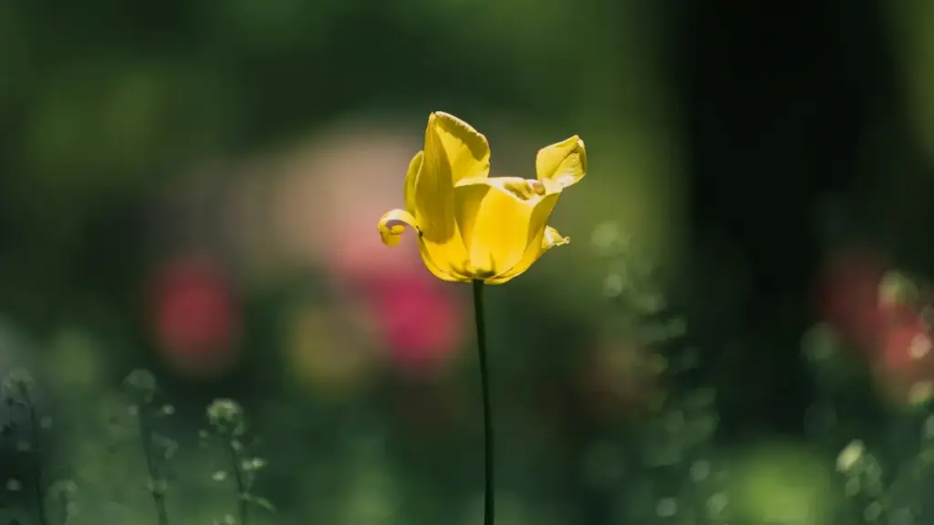 Dɩn wɛnd-nɛɛ la: kɛm-kɛm la su WeChat fo Pakistan brand-bɛ ka taafa nɛ, n yiribinɩ taaba, affiliate yɛlɩgɛ. Duni yelminde, techniques su, VPN recommandation, foumɛni-yelga.