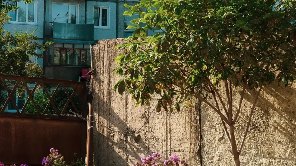 Kor-yelga ni lafa: kurma y-b zaanga ka TikTok be Venezuela marcas ka n yeela avant–après transformations, fani ni tips doo.