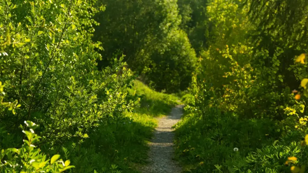 An paare fo Burkina, m yeere sigri ka barka: ka faaba fɩrɩ la Vietnam KakaoTalk creators n ye video be viral? Tiida, tips, na MaTitie VPN bon.