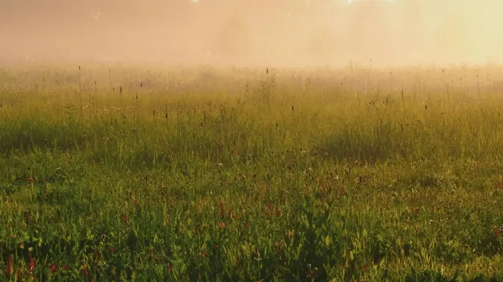 Tactiques locales pour Burkina Faso: comment repérer et activer créateurs Sri Lanka sur Netflix