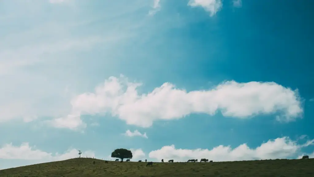 Tu veux catcher des marques italiennes sur Chingari pour des collabs ? Voilà la méthode simple, les bons signaux, et les pièges à éviter.