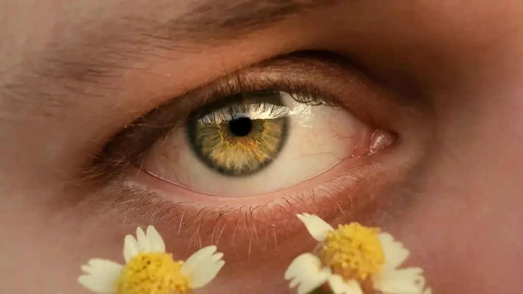 Nonga y teed Apple Music brands n taaba Poland, ka sponsored tools n boogre, ka disclosure, outreach, n tracking yelme.