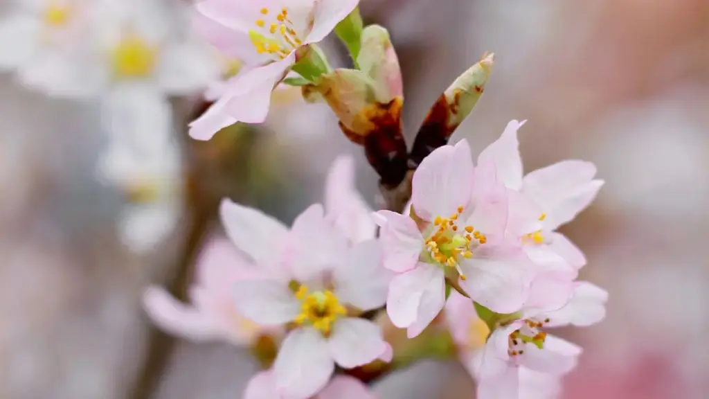 Comment repérer les bons créateurs Portugal sur Rumble pour faire monter la buzz d’un nouveau lancement beauté, sans brûler le budget.