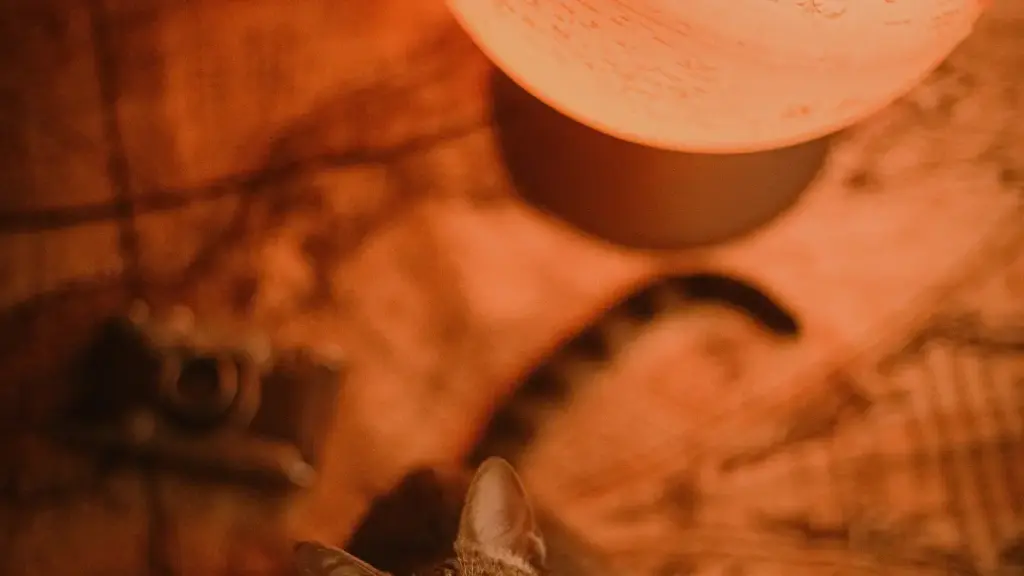 Comment repérer des créateurs Paraguay Etsy, bâtir du reach et gagner en visibilité via les contenus créateurs, sans bricolage inutile.