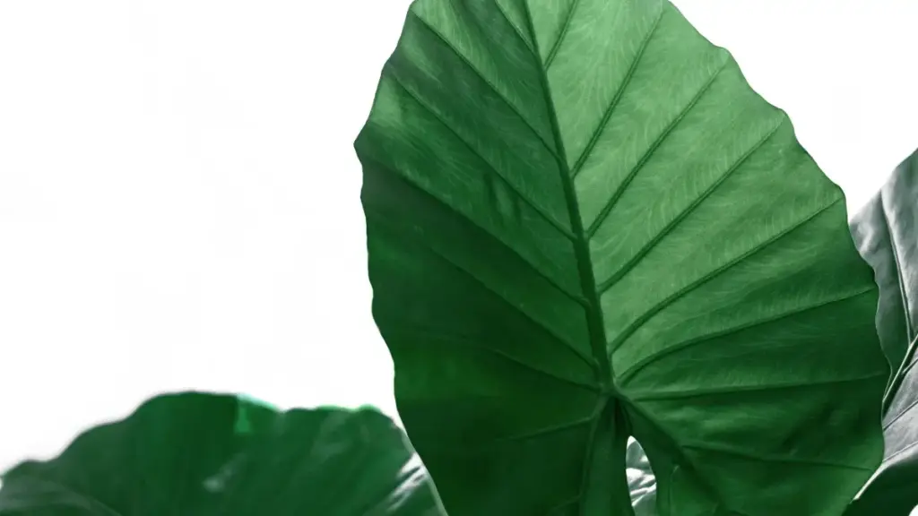 Méthode simple pour repérer des créateurs Snapchat en Estonie, élargir ton réseau influence et éviter les faux profils. Du concret, pas du blabla.