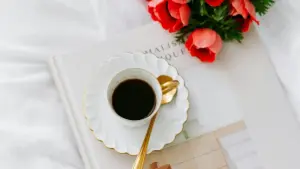 Méthode simple pour repérer des créateurs VK à Porto Rico, choisir les bons profils et booster la visibilité produit sans brûler ton budget.